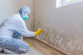 Best Mold Removal for HVAC Installations in Las Lomas, CA