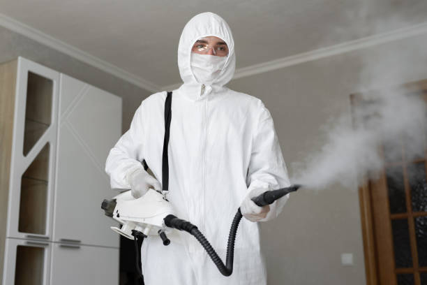 Best Residential Mold Inspection & Testing in Las Lomas, CA