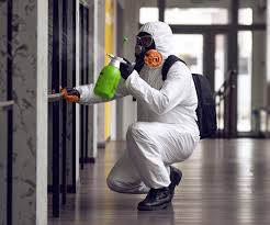 Las Lomas, CA Mold Removal Company